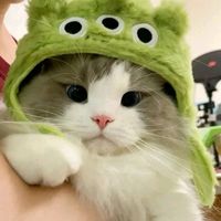 suara asli - cassby indonesia🇮🇩🇵🇭