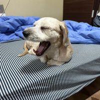 オリジナル楽曲 - k e.n j i