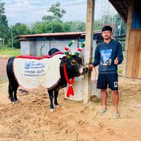 เสียงต้นฉบับ - เเบงค์ บ้านต่ํา