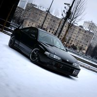 mel.pupe0703