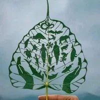 original sound - aadarshpokhrel5