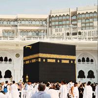 arzoo1100
