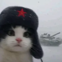 original sound - volkovorin