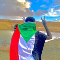 الصوت الأصلي