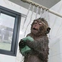 usuario_resstringido