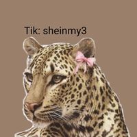 sheinmy3