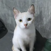 Today my life begins _ Bruno Mars