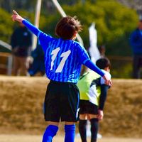 roy.goto