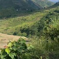 nhạc nền - user8914057332225