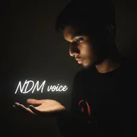 original sound - ndm_voice