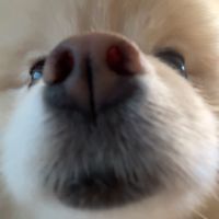 1ov3foru