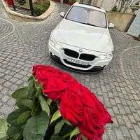 zulya202