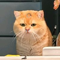 我