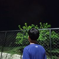 alv_zap