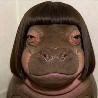 suara asli - Bugsss