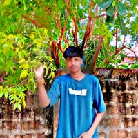 dishanthrock71