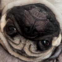puuuu107