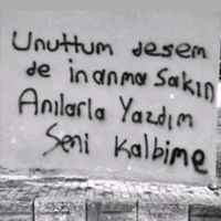 sensizm.gulm