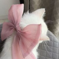 lixli7__