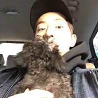 오리지널 사운드 - U