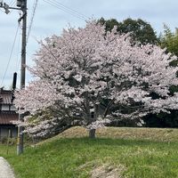 オリジナル楽曲 - 叶夢