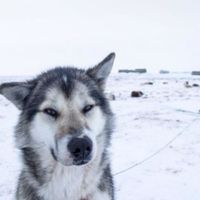 _xpixm2