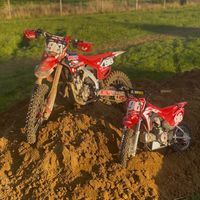 toby_gibb