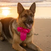 original sound - minhapastorazoe