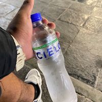 yourking_25