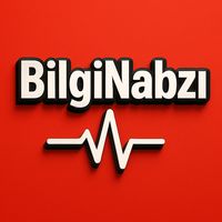 bilginabz