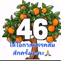 tonsomchannel