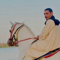 الصوت الأصلي