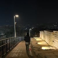 sho52_15