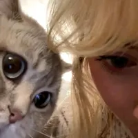 original sound - ll.t_j