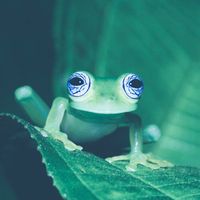 オリジナル楽曲 - とと