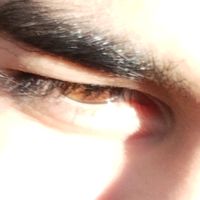 hazar.bayam