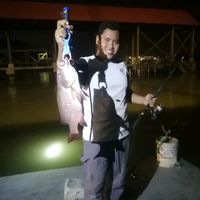 durihijau