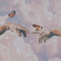 soft_._._edits1