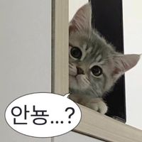 user9cqox3uefj
