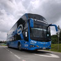 busologia_091