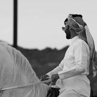 الصوت الأصلي