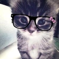 ms_relll