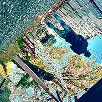 taiga_1027