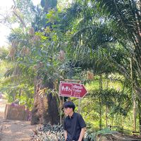 user75741210
