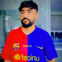 parviz.mohamadi
