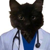 raulvmdoc