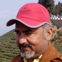 shankarbasnet96