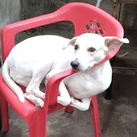 klksocarras22