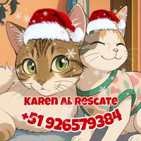 karenalrescate
