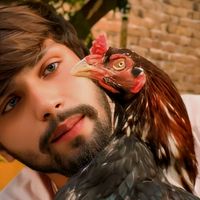 malik.yarbash302